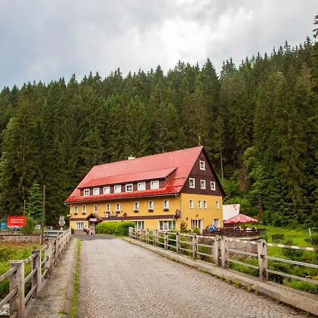 Cenkovka * Srní