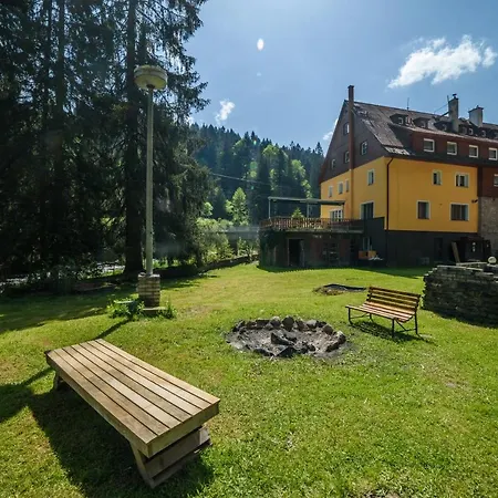 čeňkovka Srní