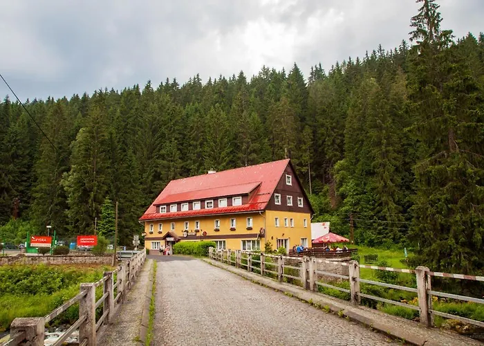 čeňkovka * Srní