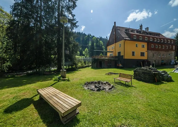Cenkovka Srni